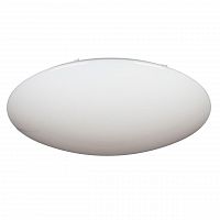 потолочный светодиодный светильник omnilux oml-43007-100 в Архангельске