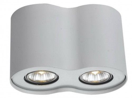 потолочный светильник arte lamp falcon a5633pl-2wh в Архангельске