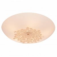 потолочный светильник silver light verbena 835.50.5 в Архангельске