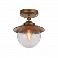 потолочный светильник favourite farola 2027-1u в Архангельске