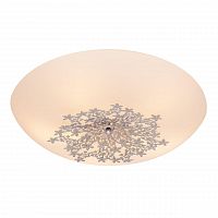 потолочный светильник silver light verbena 836.50.5 в Архангельске
