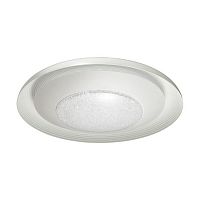 потолочный светодиодный светильник odeon light benso 4623/48cl в Архангельске