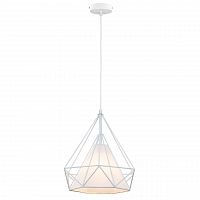 дизайнерский подвесной светильник spot light cage 9502102 в Архангельске