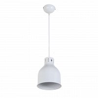 подвесной светильник arti lampadari colata e 1.3.p1 w в Архангельске