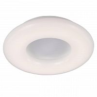 потолочный светильник st luce sl902.502.01d в Архангельске