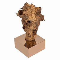 декор burlwood 87 cm в Архангельске