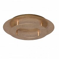 потолочный светильник mw-light галатея 452011701 в Архангельске