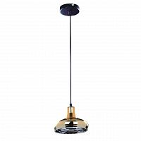 подвесной светильник spot light fiji 9704112 в Архангельске