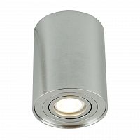 потолочный светильник arte lamp a5644pl-1si в Архангельске
