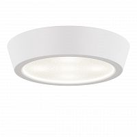потолочный светодиодный светильник lightstar urbano 214904 в Архангельске