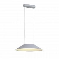 подвесной светодиодный светильник st luce pitto sl427.513.01 в Архангельске
