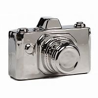 предмет декора camera серебряная в Архангельске