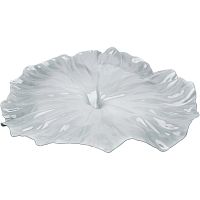 блюдо a lotus leaf белое в Архангельске