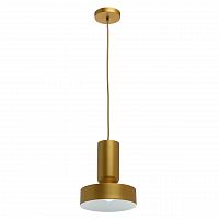 подвесной светильник mw-light элвис 1 715010201 в Архангельске