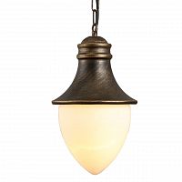 уличный подвесной светильник arte lamp vienna a1317so-1bn в Архангельске