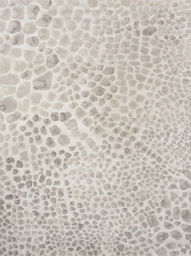 ковер ivory 64227i6575 160x230 в Архангельске