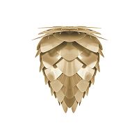 плафон conia mini brushed brass в Архангельске