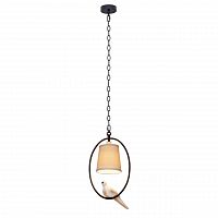 подвесной светильник loft it loft1029a-1 в Архангельске