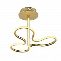 потолочный светодиодный светильник arti lampadari angelo l 1.2.35.03 g в Архангельске