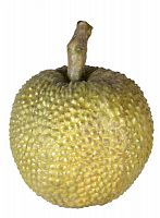 декор durian в Архангельске