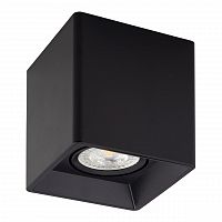 потолочный светильник denkirs dk3030-bk в Архангельске