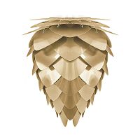 плафон conia brushed brass в Архангельске