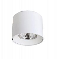 потолочный светодиодный светильник crystal lux clt 522c117 wh в Архангельске