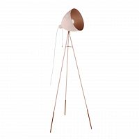 торшер eglo chester-p 49039 в Архангельске