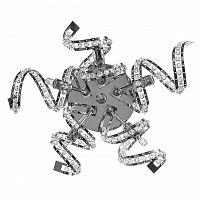 бра lightstar spider 742654 в Архангельске