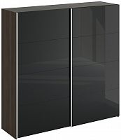 шкаф-купе slide 1700 черный в Архангельске