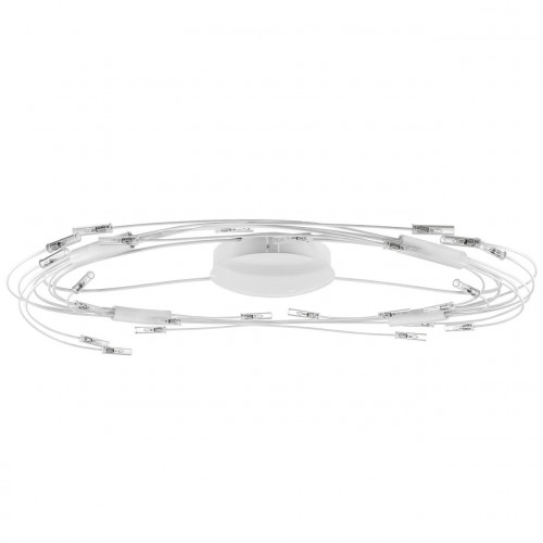 потолочный светильник lightstar ovale 784246 в Архангельске