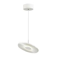 подвесной светодиодный светильник odeon light ellen 4107/12l в Архангельске