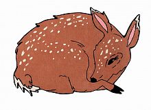 ковер шерстяной олененок the deer в Архангельске