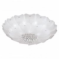 потолочный светильник lightstar lobo 804070 в Архангельске