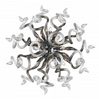 бра lightstar medusa 890659 в Архангельске